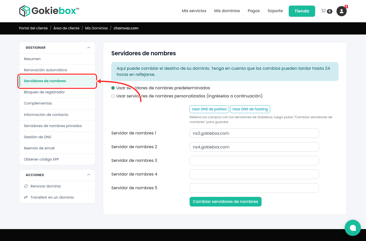 Panel del dominio con la opción Servidores de nombres del menú lateral señalada con una flecha