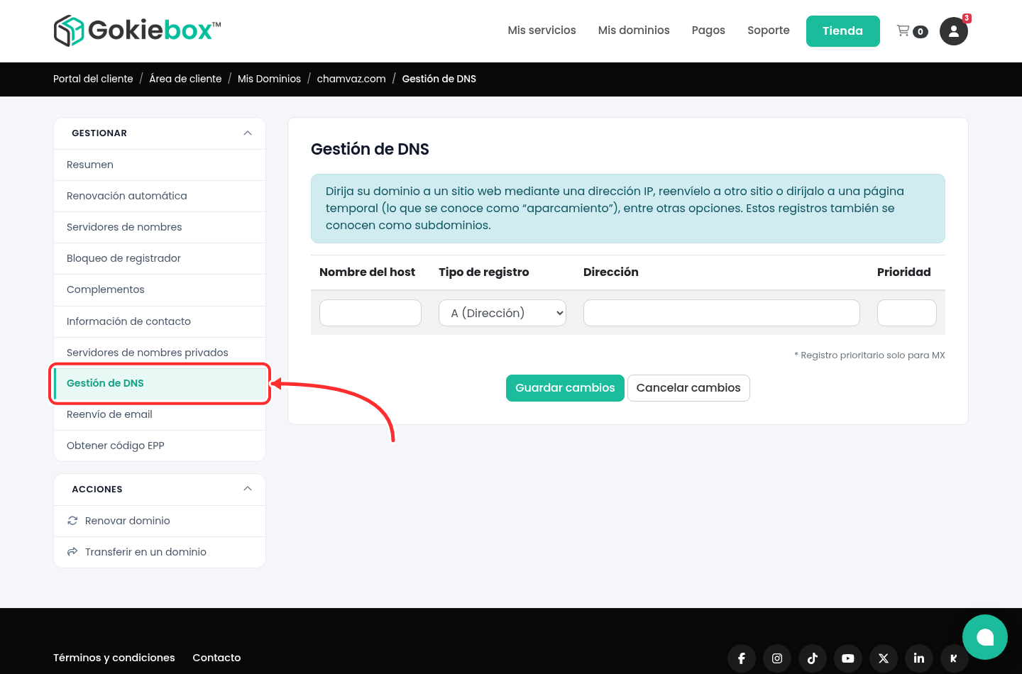 Menú lateral del dominio con la opción Gestión de DNS señalada con una flecha