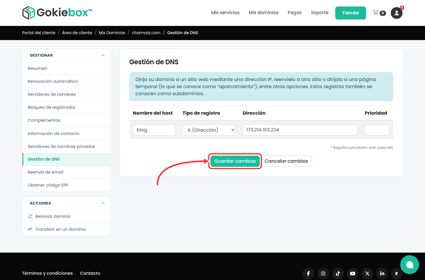 Formulario de Gestión de DNS con un registro A de ejemplo y el botón Guardar cambios señalado con una flecha